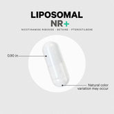 Liposomal Nicotinamide Riboside+ - 60 Capsules (60 Servings)